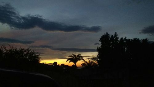 Silhouette of trees at sunset