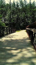 Footbridge in forest