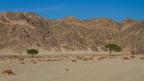 Scenic view of mountains against blue sky