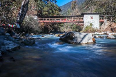 Water flowing by river against trees