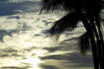 Low angle view of silhouette palm trees against sky