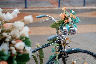 Close-up of bicycle on red flowering plant