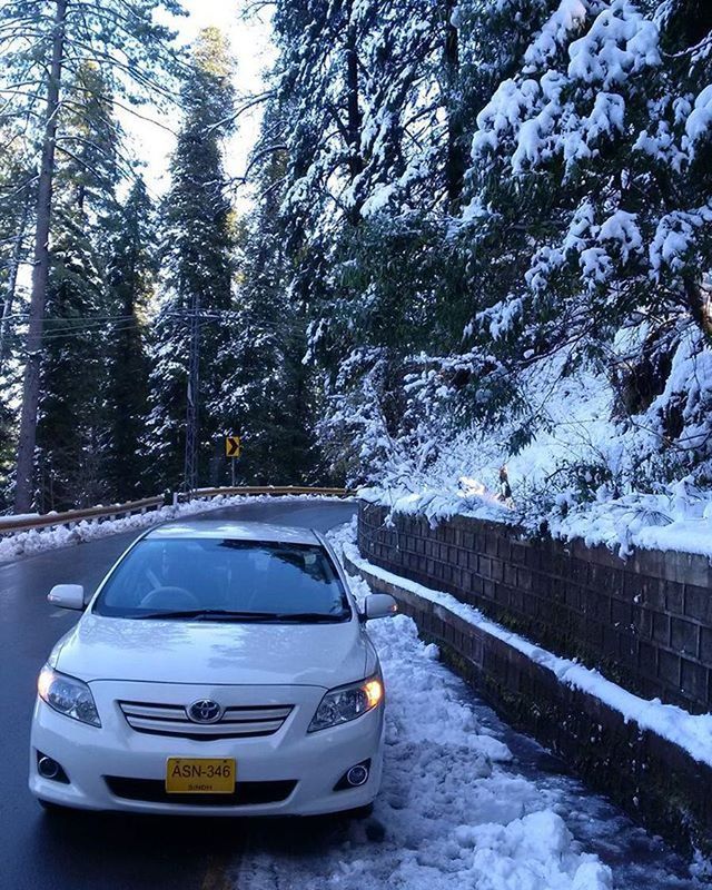 transportation, mode of transport, snow, land vehicle, winter, car, cold temperature, tree, season, road, weather, street, travel, covering, nature, on the move, day, outdoors, the way forward, frozen