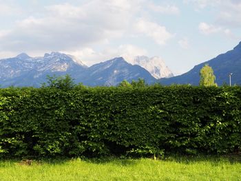 Scenic view of landscape against sky