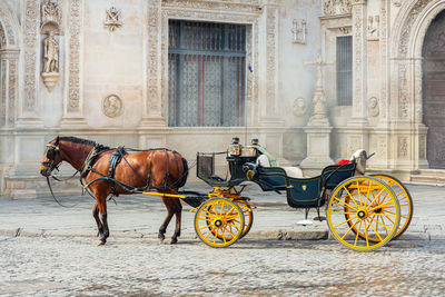 Horse cart against building