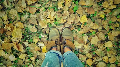 Low section of person standing on fallen autumn leaves