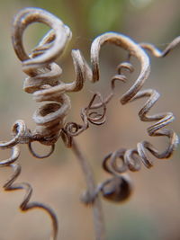 Close-up of chain