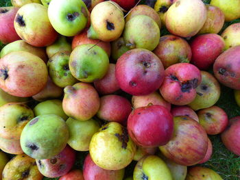 Full frame shot of fruits at market