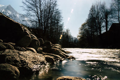 Scenic view of river by trees against sky