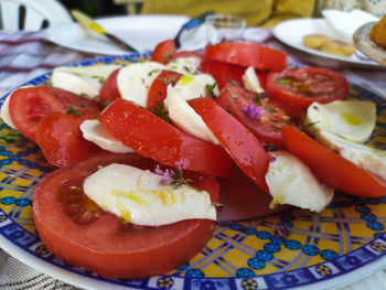 Close-up of meal served in plate