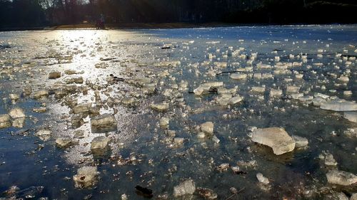 Surface level of frozen lake