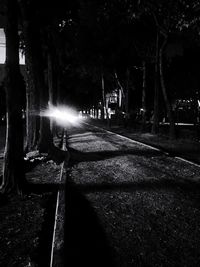 View of forest at night