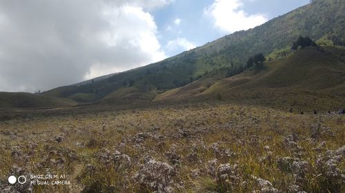 Scenic view of landscape against sky