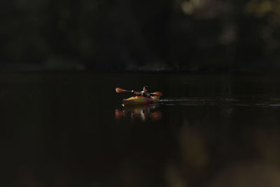 Carefree boy kayaking in lake