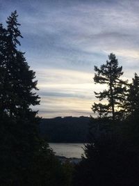 Silhouette trees by lake against sky during sunset