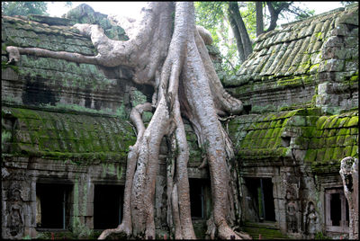 Old ruin building