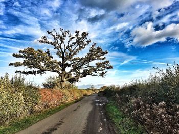 Road amidst trees against sky