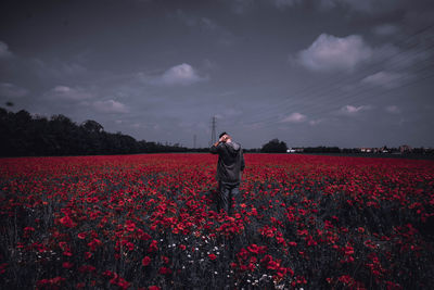 Woman standing on field by red flowers against sky