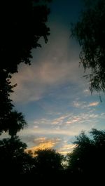 Low angle view of silhouette trees against sky