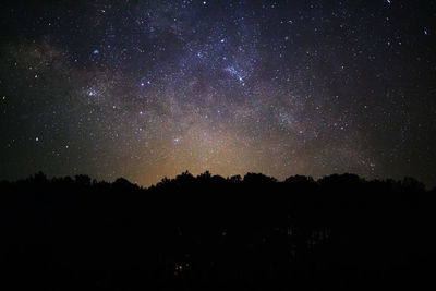 Low angle view of silhouette trees against sky at night