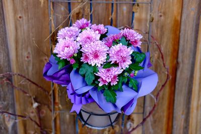 Close-up of purple flowers
