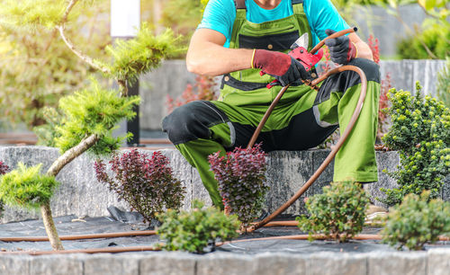 Rear view of woman standing by plants