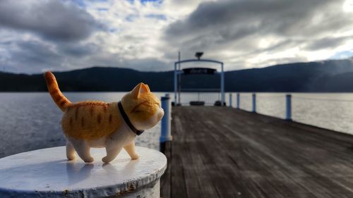 Dog in a sea against sky