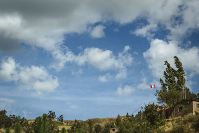 Low angle view of trees and buildings against sky