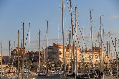 Sailboats in marina