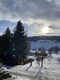 Trees on snow covered field against sky