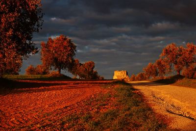 Sunset in tuscany countryside