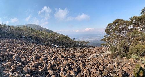 Panoramic view of rocks and trees against sky
