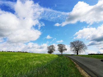 Road by trees on field against sky