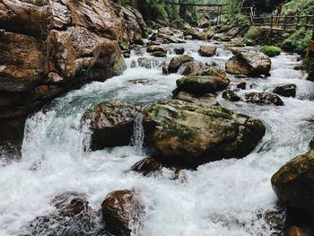 Scenic view of waterfall in forest