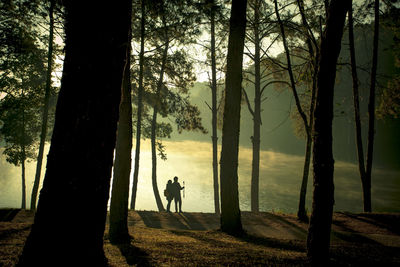 Silhouette people on road amidst trees in forest