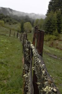 Wooden posts on field against sky