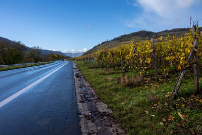 Road amidst plants and mountains against sky