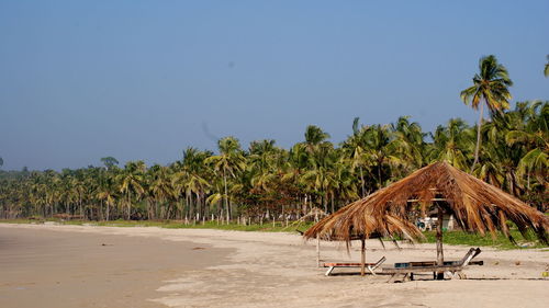 Palm trees against clear blue sky