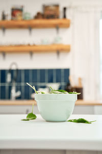 Close-up of potted plant on table at home