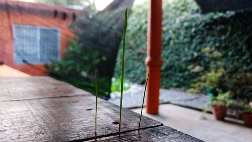 Close-up of table against trees