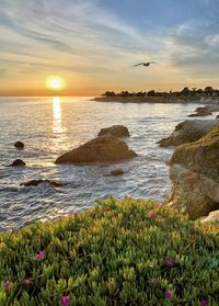 Scenic view of sea against sky during sunset