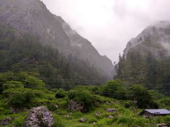 Georgy hills passes to the beauty of nature