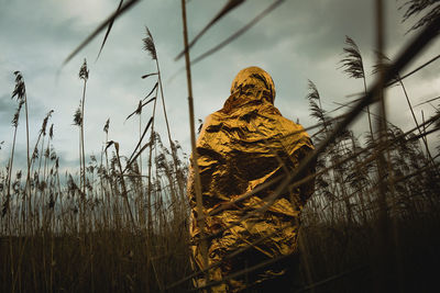 Human wrapped in an emergency blanket standing in a field against cloudy sky