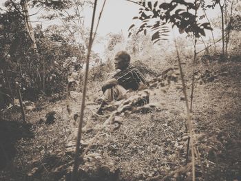 Man holding umbrella on field in forest