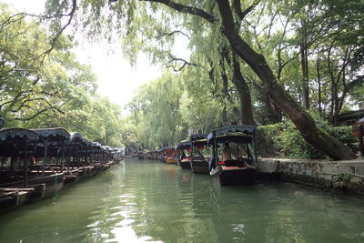 Boats in river along trees