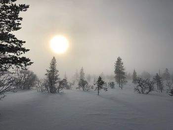 Trees on snow covered landscape against sky