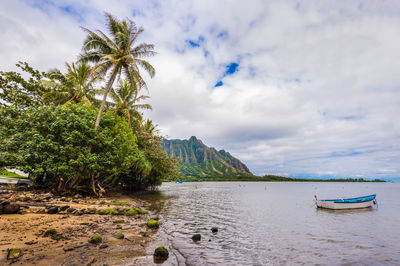 Scenic view of sea against sky