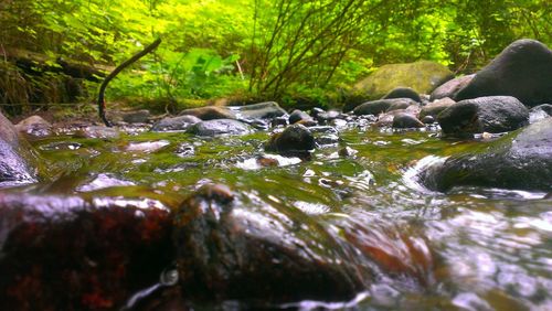 River flowing through rocks
