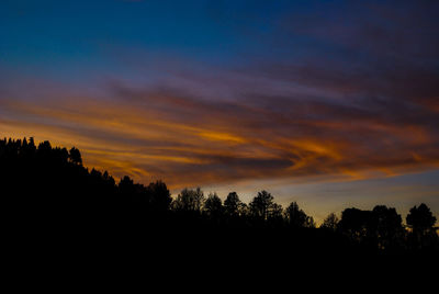 Silhouette trees against dramatic sky during sunset