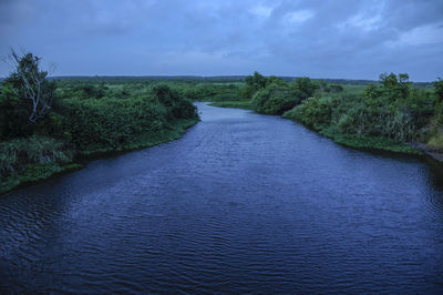 Scenic view of river amidst trees against sky